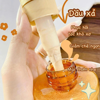 Bộ dầu gội, dầu xả L'oreal Paris Elseve vàng