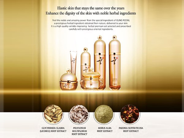 Set dưỡng da cao cấp Coreana Rodin Gung Stain