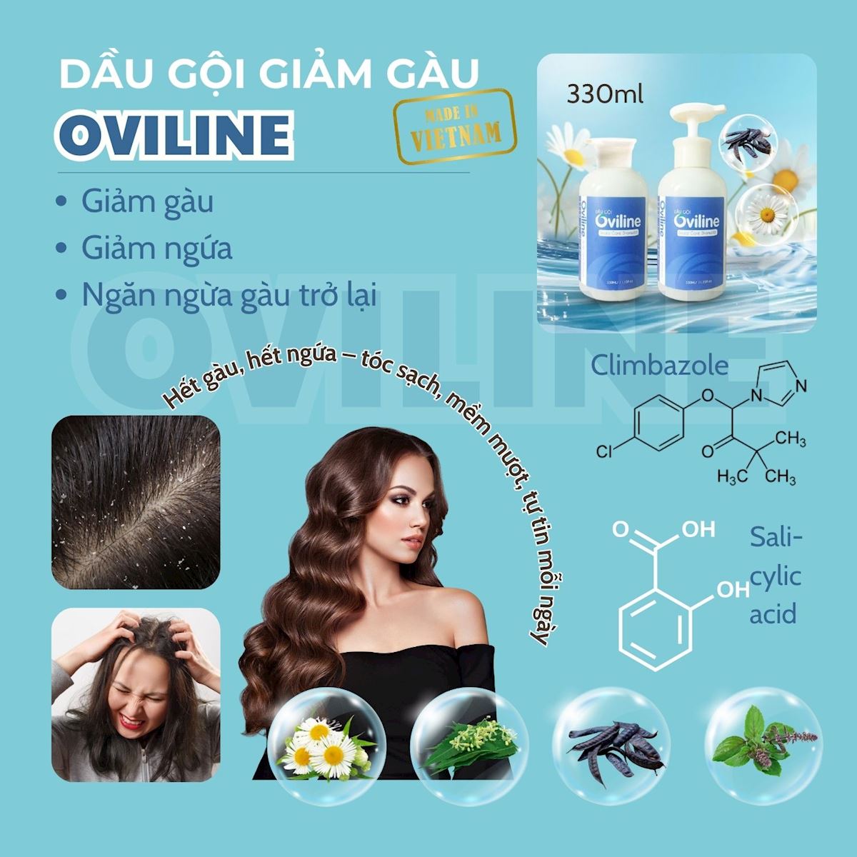 Dầu Gội Đầu Ngừa Gàu, Giảm Ngứa OVILINE – Làm Sạch Da Đầu, Dưỡng Tóc Mềm Mượt 330ml