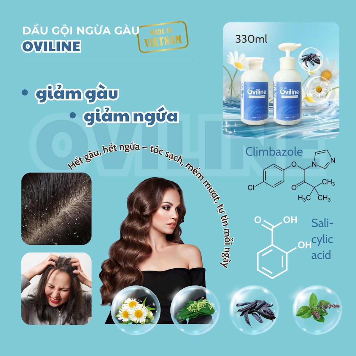 Dầu Gội Đầu Ngừa Gàu, Giảm Ngứa OVILINE – Làm Sạch Da Đầu, Dưỡng Tóc Mềm Mượt 330ml
