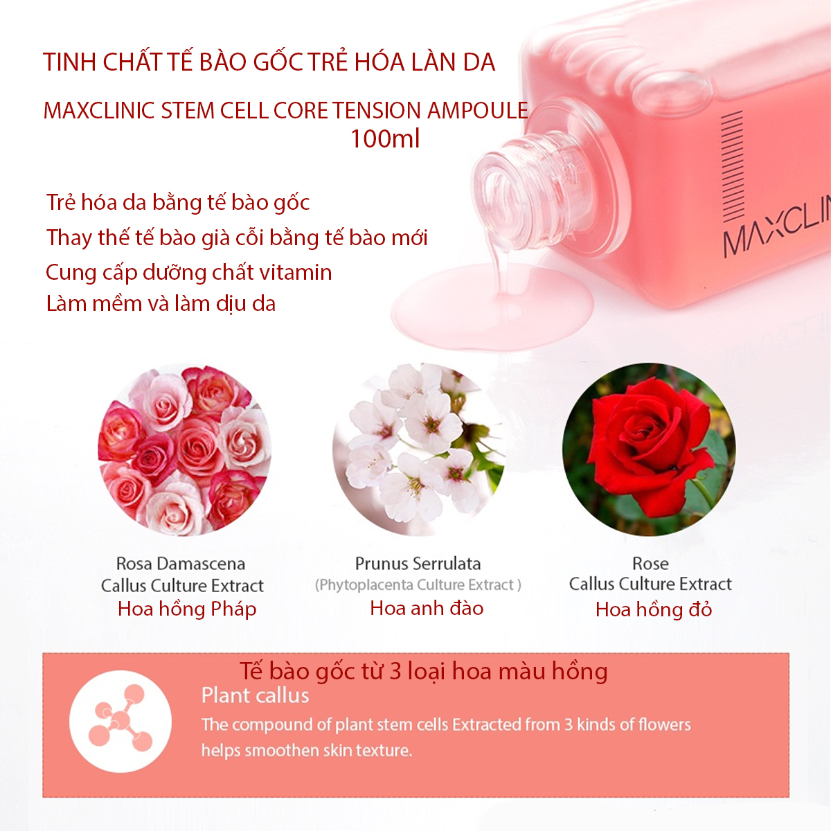 Serum tế bào gốc trẻ hóa da phục hồi da tăng đàn hồi da Stem Cell Maxclinic Ampoule 100ml