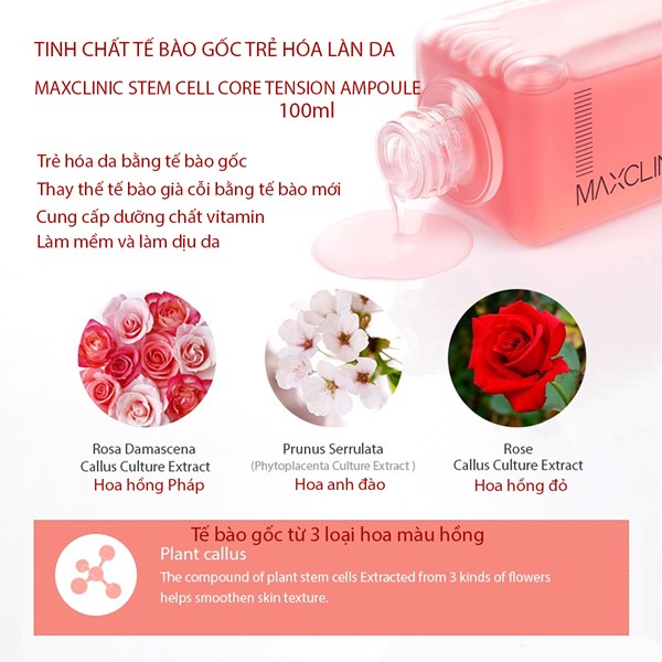 Serum tế bào gốc trẻ hóa da phục hồi da tăng đàn hồi da Stem Cell Maxclinic Ampoule 100ml