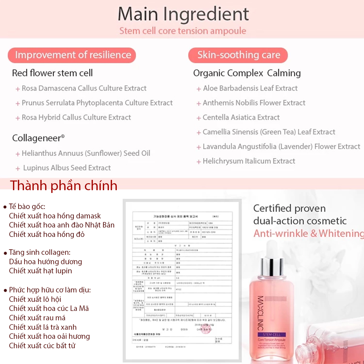 Serum tế bào gốc trẻ hóa da phục hồi da tăng đàn hồi da Stem Cell Maxclinic Ampoule 100ml