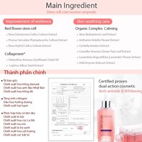 Serum tế bào gốc trẻ hóa da phục hồi da tăng đàn hồi da Stem Cell Maxclinic Ampoule 100ml