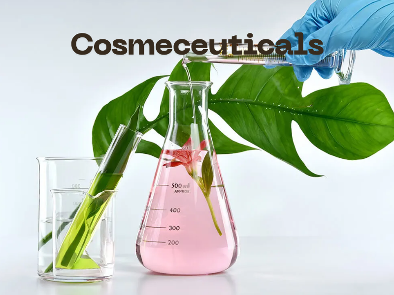 Mỹ phẩm – Dược phẩm lai (Cosmeceuticals): Xu hướng làm đẹp khoa học 2025–2035
